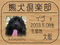 �I�[�i�[�́Aben����ł���